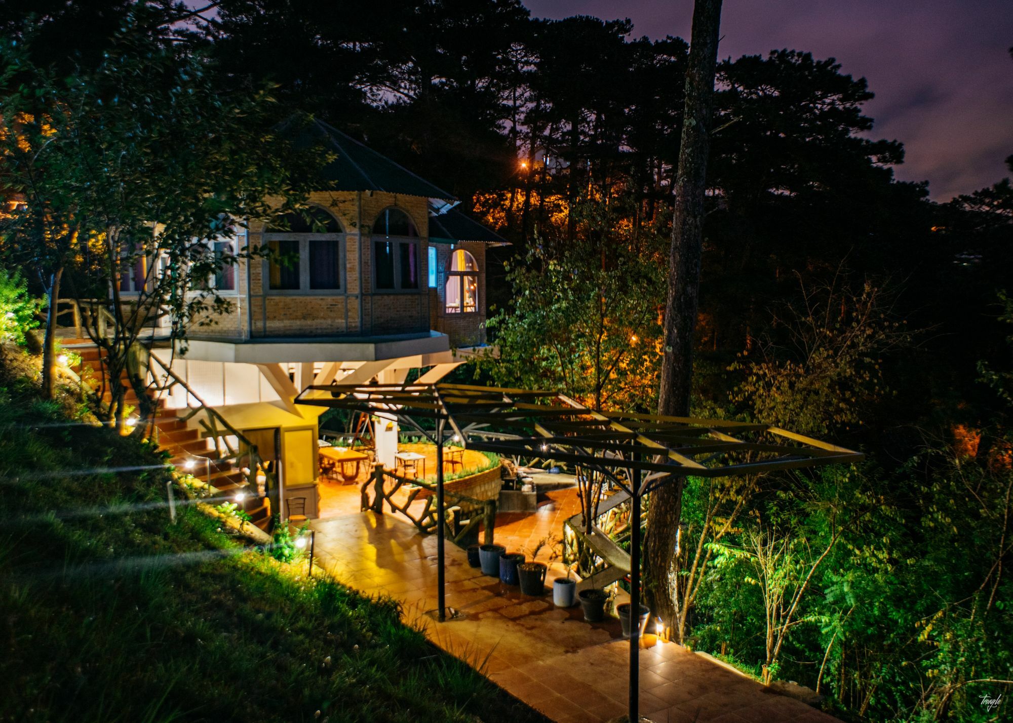 Maple Hostel Đà Lạt Ngoại thất bức ảnh