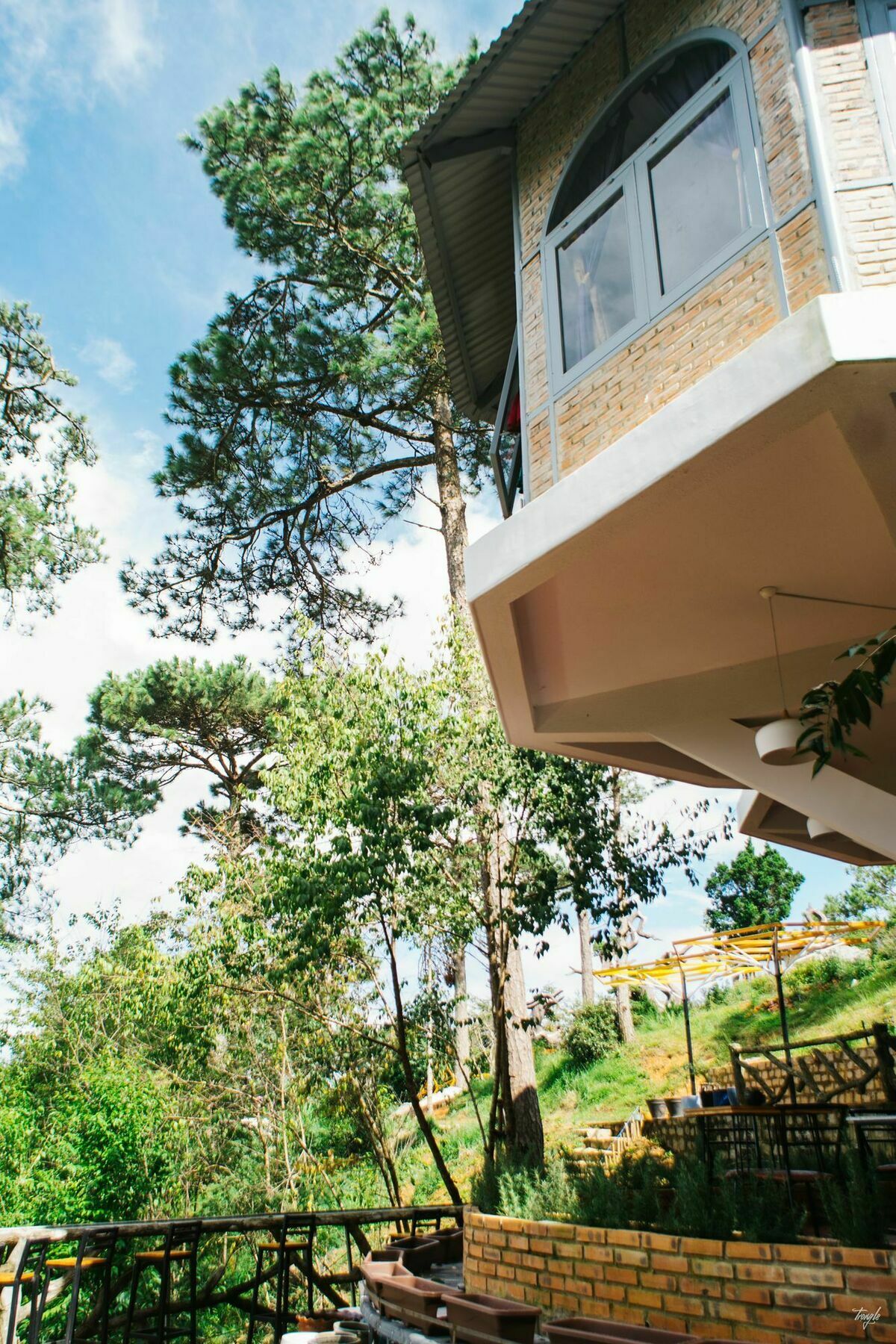 Maple Hostel Đà Lạt Ngoại thất bức ảnh